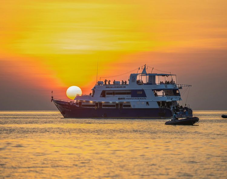 ทริปดำน้ำ Liveaboard เกาะพีพี 4 วัน 3 คืน กับ Khao Lak Scuba Adventures รูปที่ 10