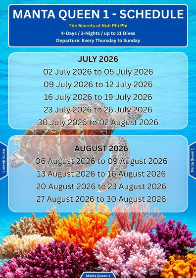 ทริปดำน้ำ Liveaboard เกาะพีพี 4 วัน 3 คืน กับ Khao Lak Scuba Adventures รูปที่ 8