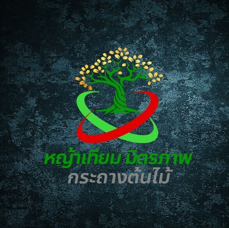 หญ้าเทียม มิตรภาพ ราชพฤกษ์ พระราม 5 จำหน่ายหญ้าเทียม กระถางต้นไม้ และของตกแต่งสวน