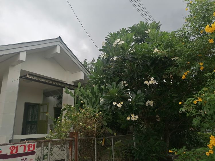 มีบางส่วน ขายบ้านเดี่ยว พร้อมอยู่ 3 ห้องนอน มีสวนพักผ่อน ติดถนนใหญ่ในเมืองสุพรรณบุรี รูปที่ 2