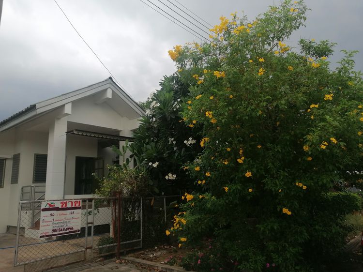 ขายบ้านเดี่ยว พร้อมอยู่ 3 ห้องนอน มีสวนพักผ่อน ติดถนนใหญ่ในเมืองสุพรรณบุรี