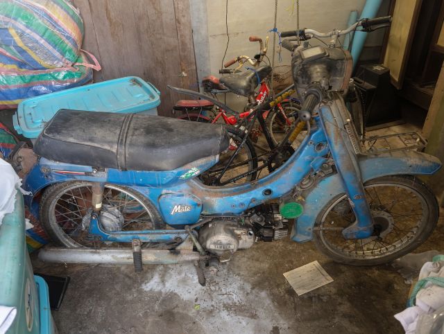 รุ่นอื่นๆ 1982 Yamaha Mate 80