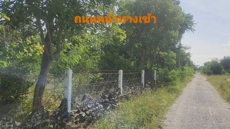 ไม่ใช่ ขายที่ดิน 20 ไร่ พร้อมสิ่งปลูกสร้าง รูปที่ 3