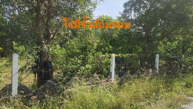 ไม่ใช่ ขายที่ดิน 20 ไร่ พร้อมสิ่งปลูกสร้าง รูปที่ 4
