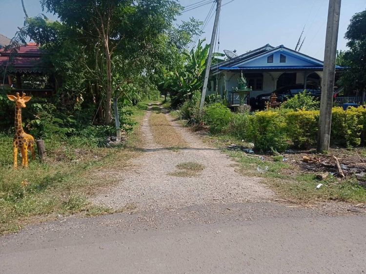 บ้านพร้อมที่ดิน รูปที่ 4
