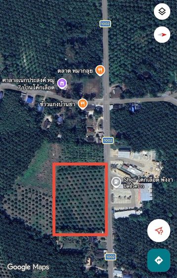 ใช่ ขายที่ดิน พังงา ที่ดินสวย ทำเลดี ติดถนน