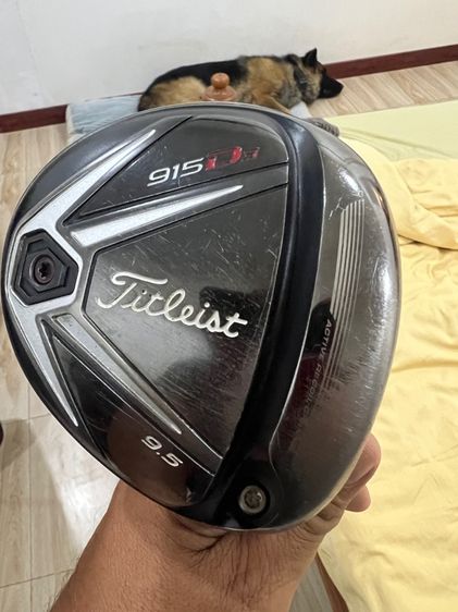 ผู้ชาย กอล์ฟ อื่นๆ Titleist Driver 915D3