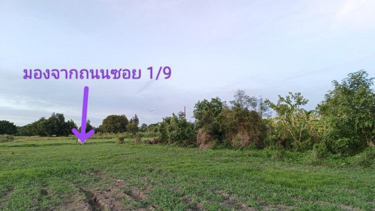 ไม่ใช่ ขายที่ดินเปล่าในกฤษดานคร 25
มีนบุรี รูปที่ 4