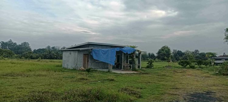 ที่ดินเชียงใหม่ อำเภอสันป่าตอง