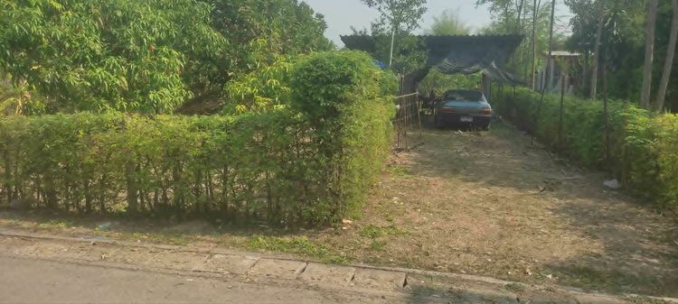 ที่ดินหางดง เชียงใหม่