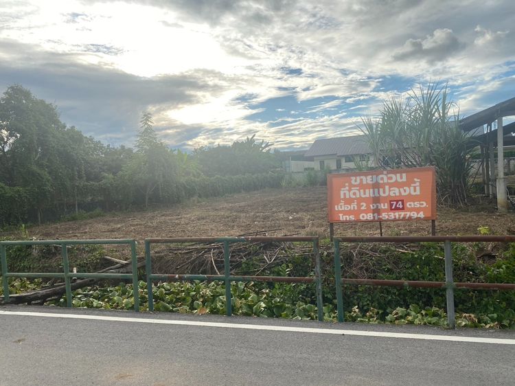 ขายที่ดิน จังหวัดลำพูน รูปที่ 3