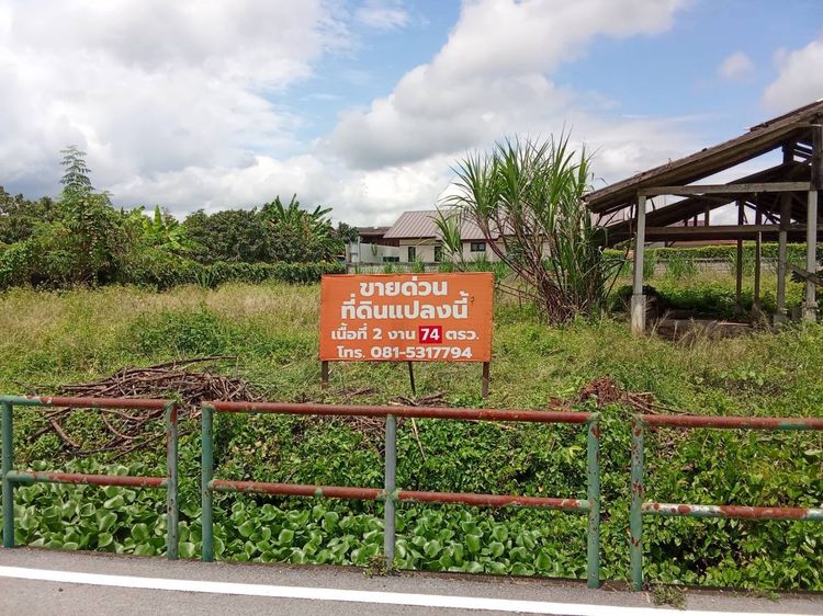 ขายที่ดิน จังหวัดลำพูน
