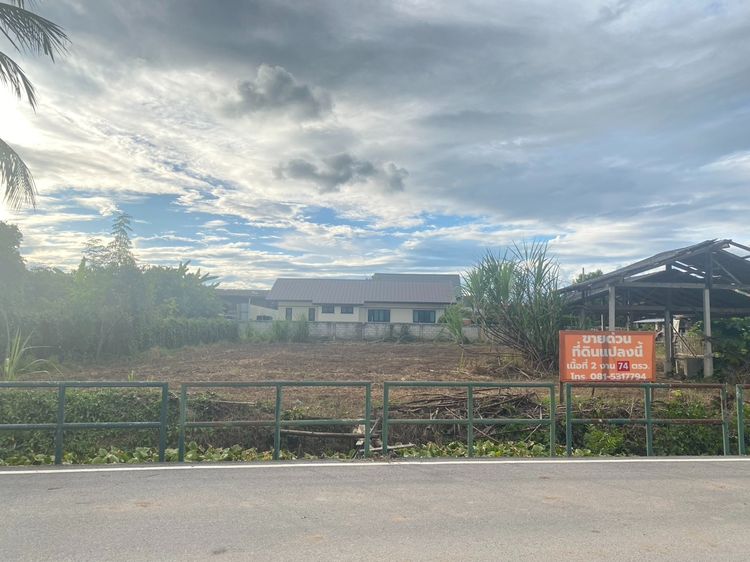 ขายที่ดิน จังหวัดลำพูน รูปที่ 4