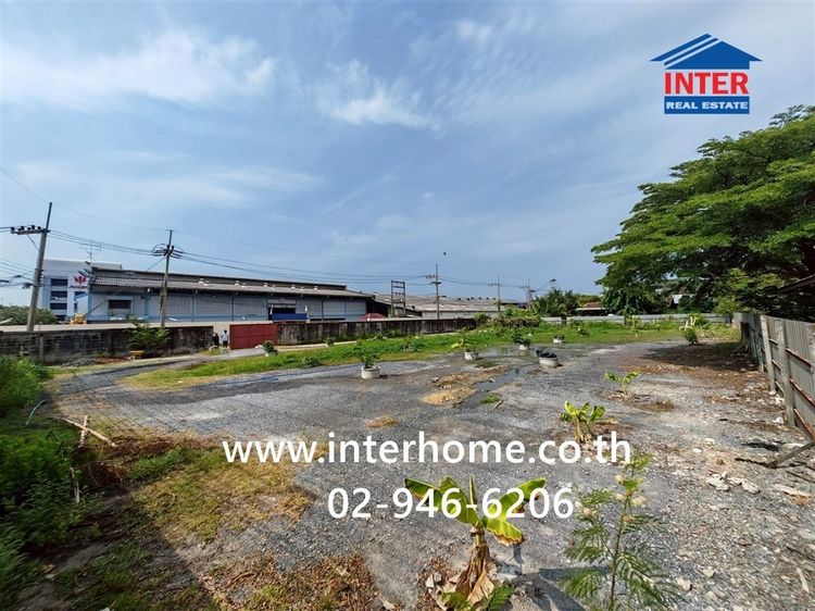 ที่ดินเปล่า 380 ตร.ว. ที่ดิน ใกล้เเงินเทอร์โบ สาขาเพชรเกษม91 ซอยศรทอง ถนนเพชรเกษม91 ถนนศรีทอง กระทุ่มแบน สมุทรสาคร รูปที่ 4