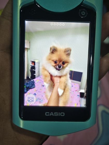 กล้องtr550 รูปที่ 3