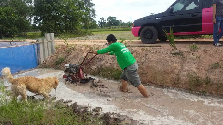 ขายร้อนเงิน โครงรถไถเดินตามมินิ+ผาน สภาพดีใช้งานแค่ปีเดียว รูปที่ 12