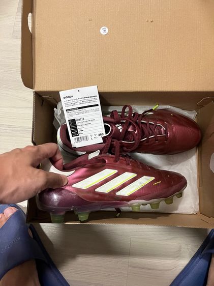 ผู้ชาย แดง รองเท้าฟุตบอล adidas copa pure ll elite