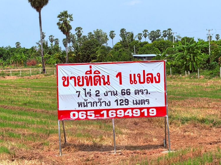 ขายที่ดินติดถนนสายเอเชีย ตำบลหาดอาษา อำเภอสรรพยา จังหวัดชัยนาท