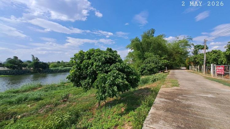 ไม่ใช่ ติดแม่น้ำปิงติดถนนคอนกรีตสองด้าน ร้อนเงินขายด่วนขายถูกเจ้าของขายเอง รูปที่ 3