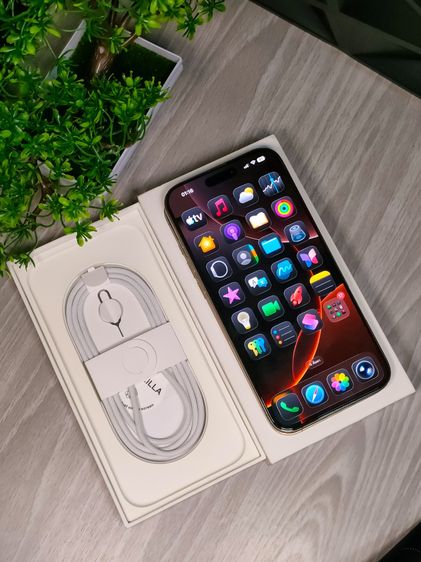 iPhone 16 Pro Max 256GB สี Desert Titanium