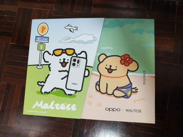 Maltese Boxset (Oppo)