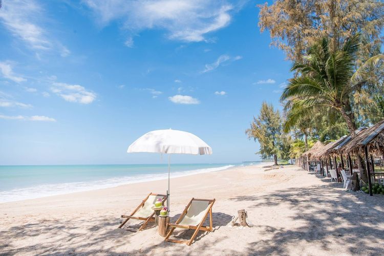 ThaiLife Beach Restaurant and Bar ร้านอาหารริมชายหาด บรรยากาศสงบในตะกั่วป่า พังงา รูปที่ 4