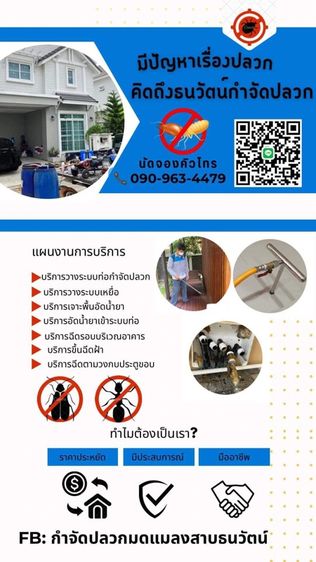 กำจัดปลวก