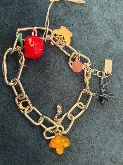 สร้อยข้อมือ coach