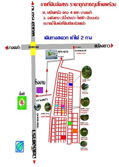 ใช่ ขายที่ดินปลูกบ้าน-ใกล้แยกบางคล้า-ราคาหลักแสน รูปที่ 3