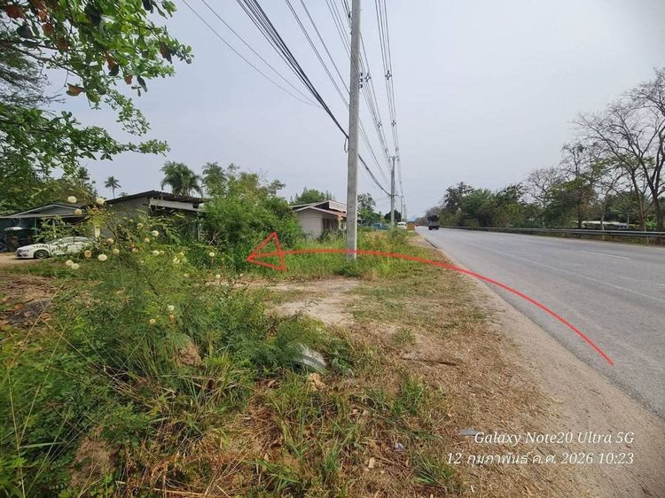 ขายที่ดินถูก 10 ไร่ ห่างถนนเพชรเกษม 300 เมตร เป็นสวนมะพร้าว ติดลำห้วย ที่ดินสูงน้ำไม่ท่วม รูปที่ 3