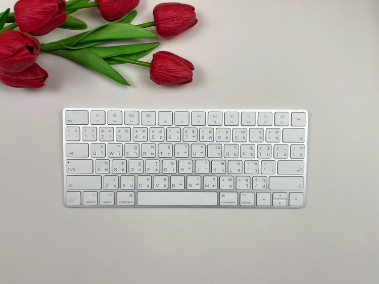 Apple Magic Keyboard 2 (Lightning)