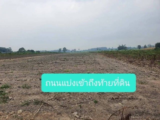 ขายที่ดิน 5 ไร่สวย ติดถนน อ.เมือง จ.กำแพงเพชร รูปที่ 4