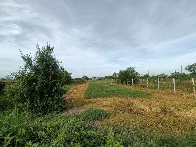 ใช่ ขายด่วนที่ดิน ปทุมธานี อ.ลาดหลุมแก้ว รูปที่ 3