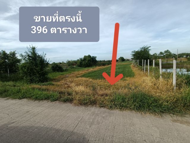 ใช่ ขายด่วนที่ดิน ปทุมธานี อ.ลาดหลุมแก้ว