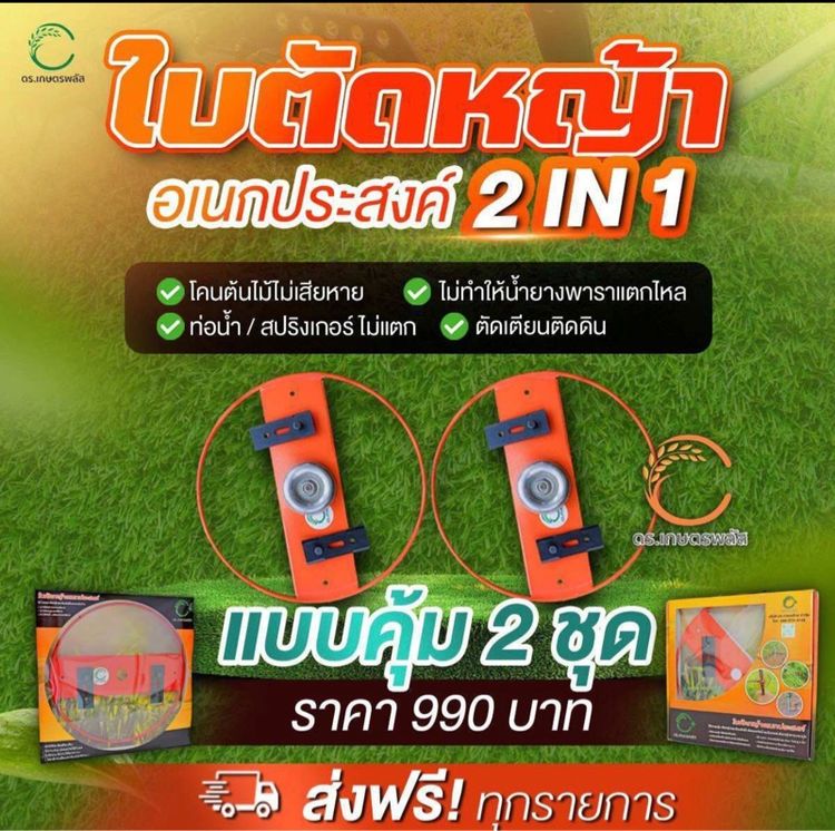 ใบตัดหญ้ารอบโคนต้น 2 ใบ ดร.เกษตรพลัส