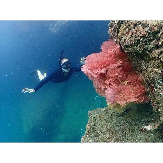 SSI Try-Freediving เรียนฟรีไดฟ์เบื้องต้น รูปที่ 7