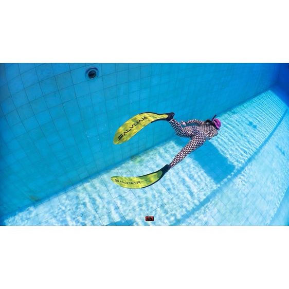 SSI Basic Freediver รูปที่ 2