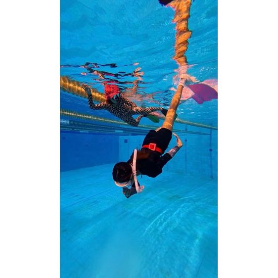 SSI Basic Freediver รูปที่ 3