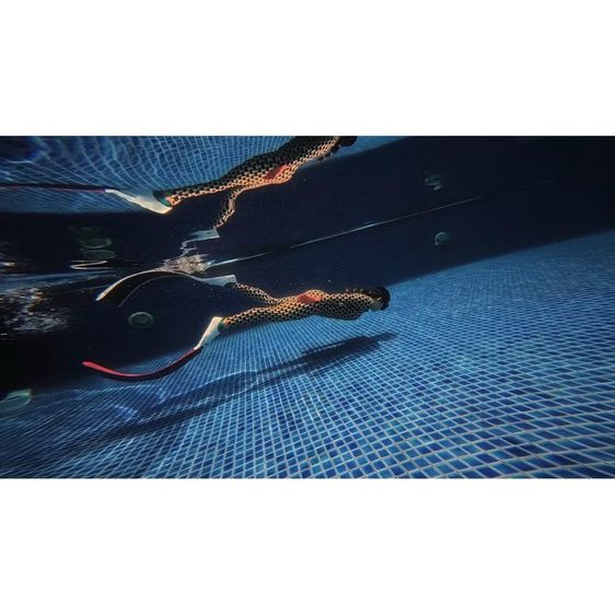 SSI Pool Freediver รูปที่ 3