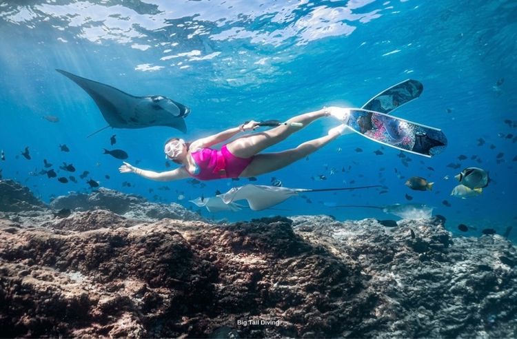 SSI Pool Freediver รูปที่ 7