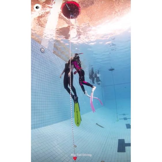 SSI Pool Freediver รูปที่ 2