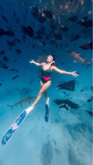 SSI Pool Freediver รูปที่ 8