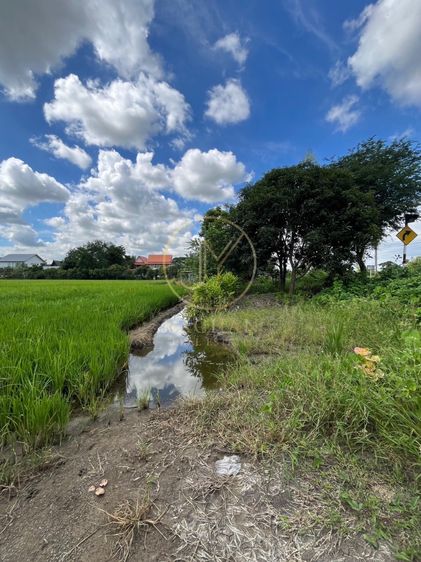 B69-304 ขายด่วน ที่ดินเปล่า ผังสีเขียว ราคาต่ำกว่าตลาด เนื้อที่ 21ไร่ 32 ตรว ขนาดกว้าง 105 เมตร ความลึก 341 เมตร ซ.วัดต้นเชือก-จงถนอม  รูปที่ 4