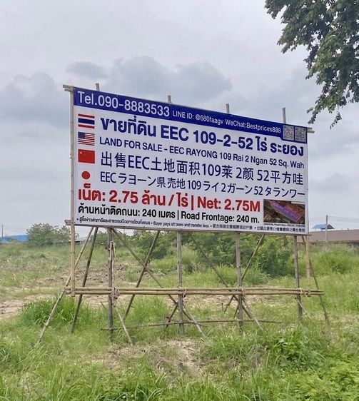 ขายที่ดิน EEC ระยอง 109 ไร่ ผังม่วงลาย ติดถนน 240 ม. รูปที่ 3