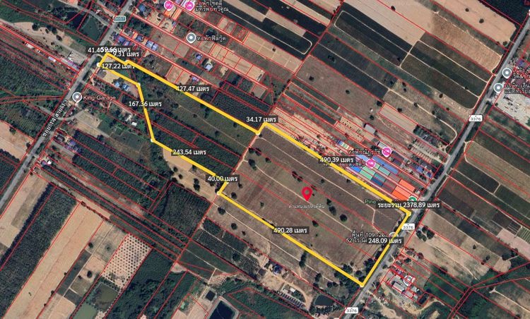 ขายที่ดิน EEC ระยอง 109 ไร่ ผังม่วงลาย ติดถนน 240 ม. รูปที่ 4