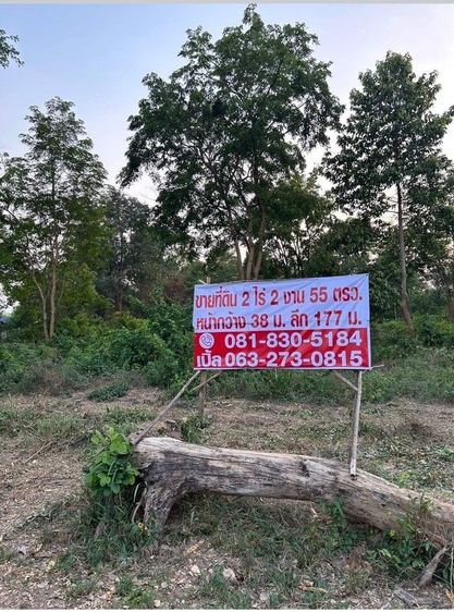 ขายที่ดินอ.เมืองมหาสารคาม รูปที่ 3
