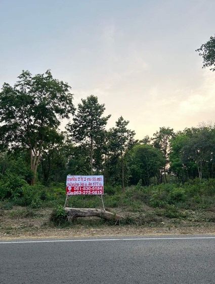 ขายที่ดินอ.เมืองมหาสารคาม