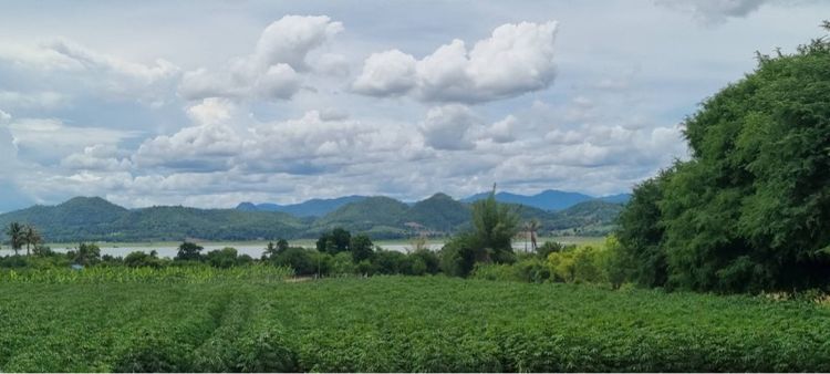 ใช่ ขายที่ดินริมเขื่อนศรีนครินทร์ วิวภูเขาล้อมรอบ 360 องศา ไร่ละ 550,000 บาท รูปที่ 4
