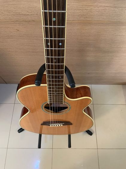 Takamine รูปที่ 12
