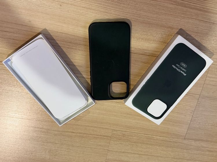 case iPhone 13 Pro Max Magsafe 